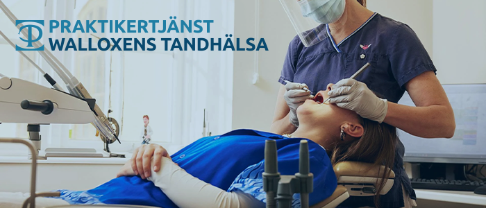 Walloxens Tandh&auml;lsa - 20 % rabatt p&aring; unders&ouml;kning